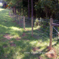 Galvanized Livestock Prevent Wire Farm Field Fence